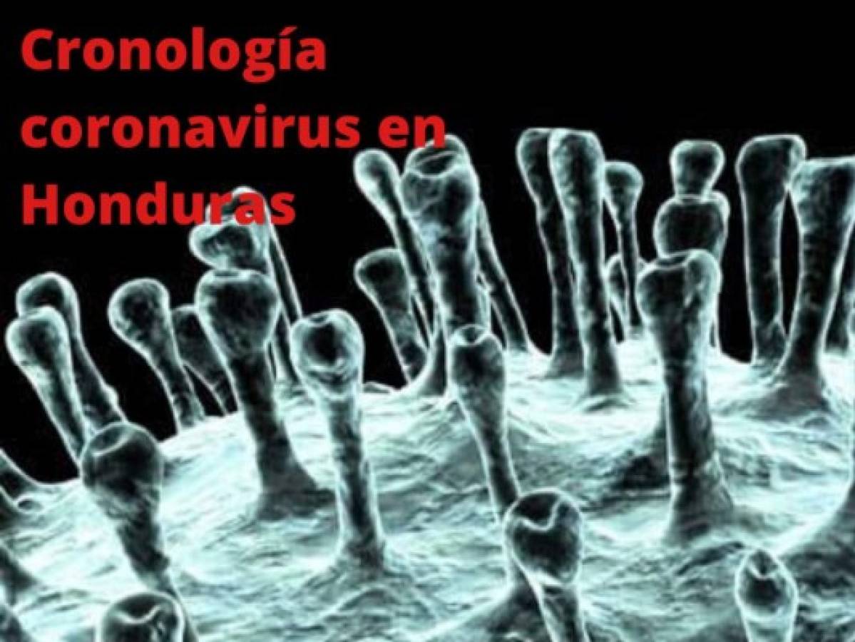 Coronavirus: Cronología del Covid-19 en Honduras, casos y medidas adoptadas
