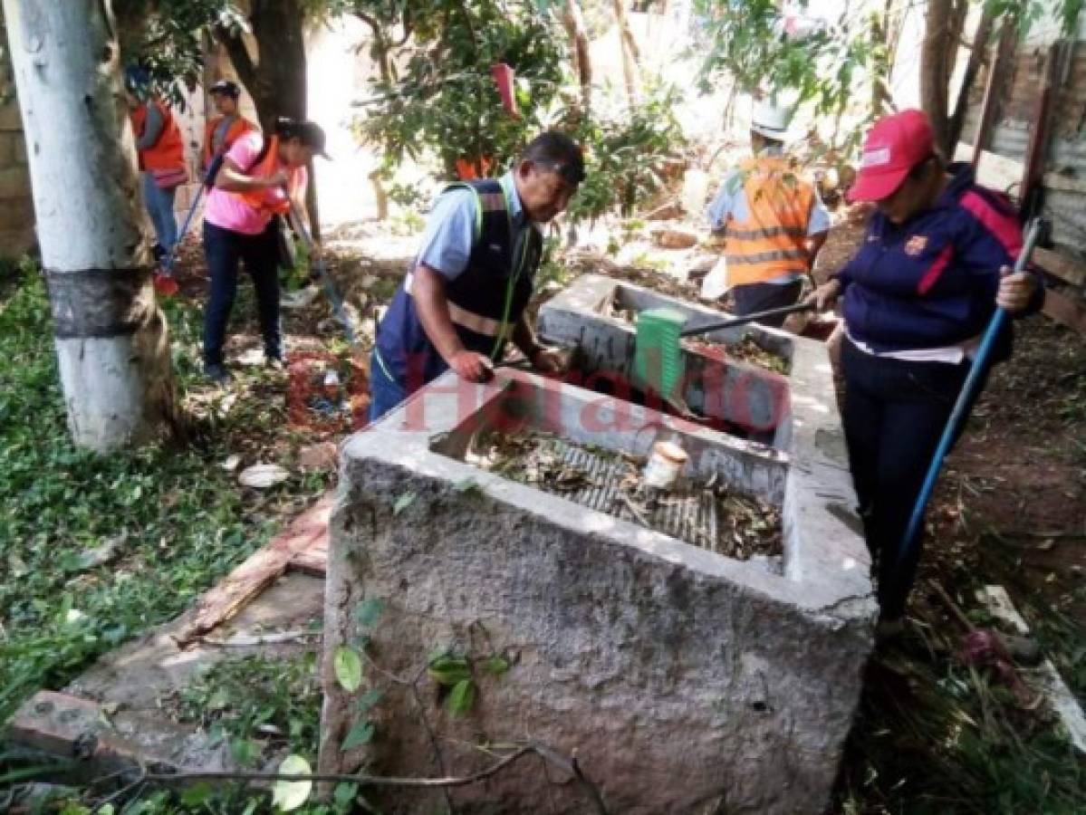 Intensifican operativos en contra del zancudo en la capital de Honduras