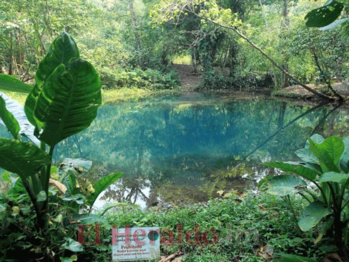 “La poza azul” es un centro ceremonial de los lencas donde realizaban rituales y bodas. Foto: Alex Pérez.