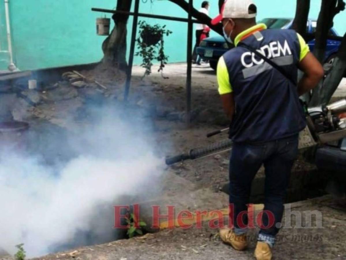 El Distrito Central ya se encuentra en epidemia por contagios de dengue