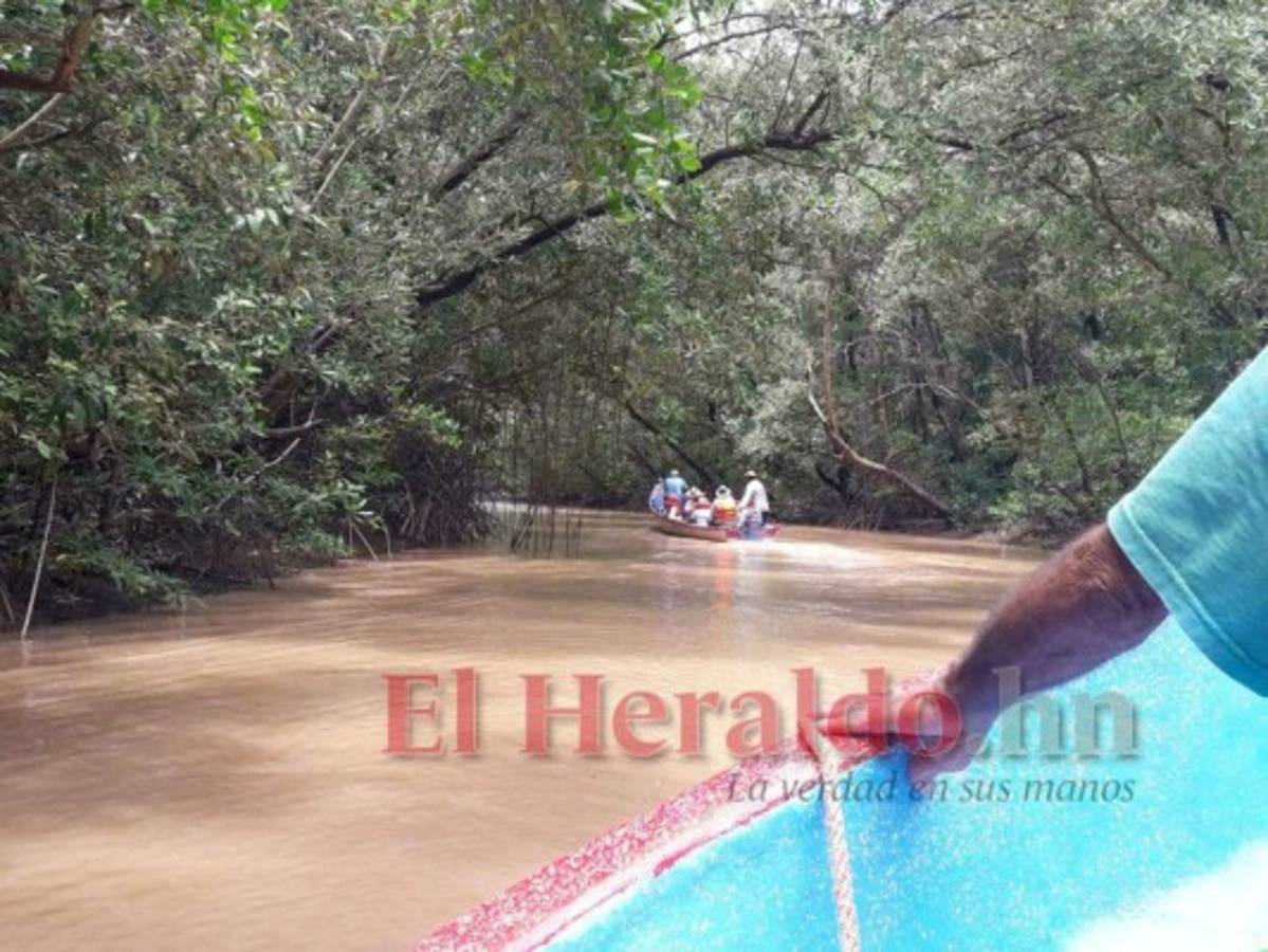 ONG: No hay voluntad para resolver contaminación en el Golfo de Fonseca   