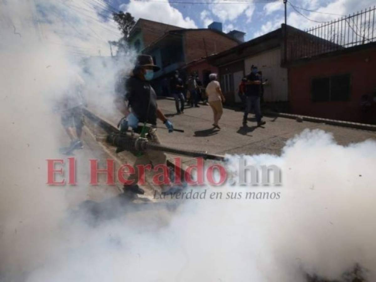 Los trabajos contra el dengue siguen en medio de la pandemia. Foto: Estalin Irías/ EL HERALDO.