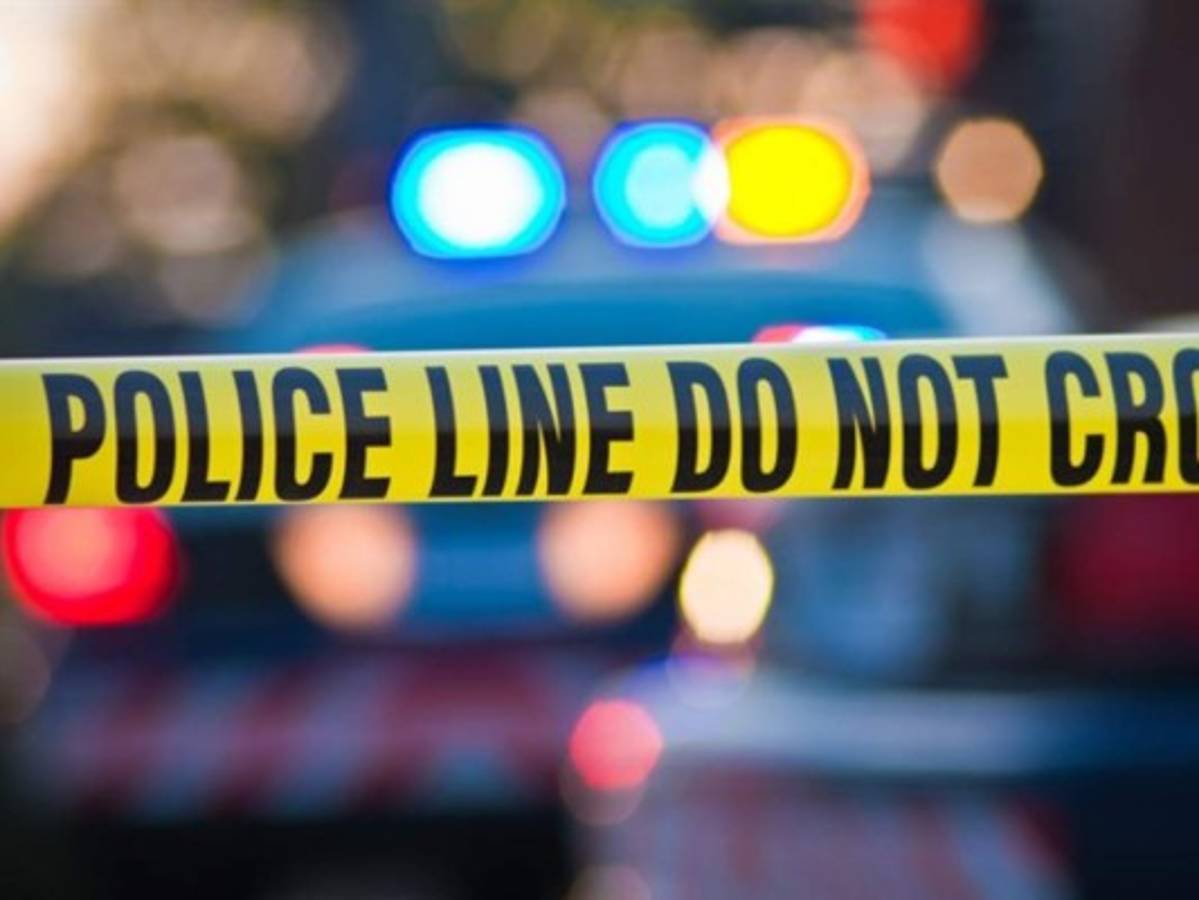 Conmoción por muerte de menor que cayó por ventana y fue devorado por perros en Nueva Jersey