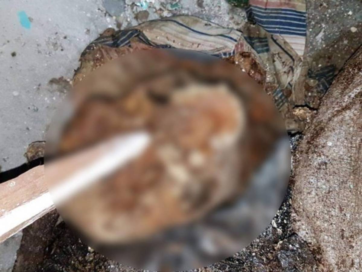 Hasta el momento se desconoce la identidad de las víctimas. En la zona se encontraron dos cráneos y varios huesos.