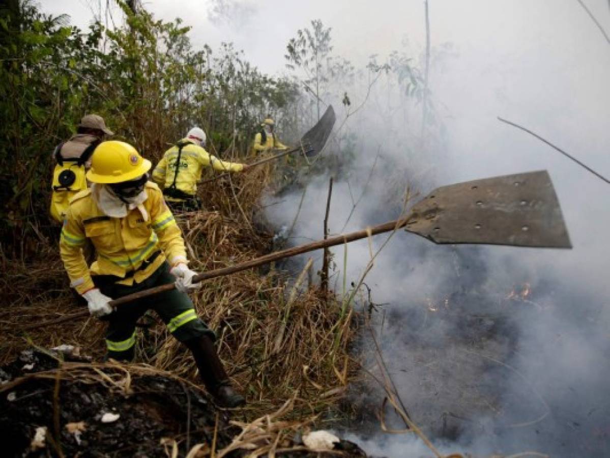 Ministro brasileño: Los incendios en la Amazonia 'están bajo control'