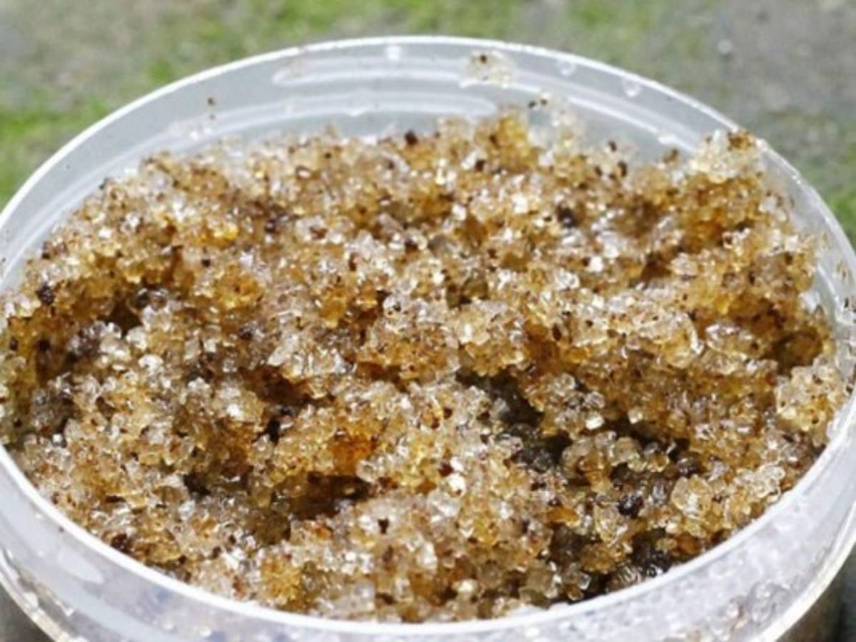 Con estos cinco remedios naturales notarás una mejor hidratación en tu piel. Foto: Pixabay.