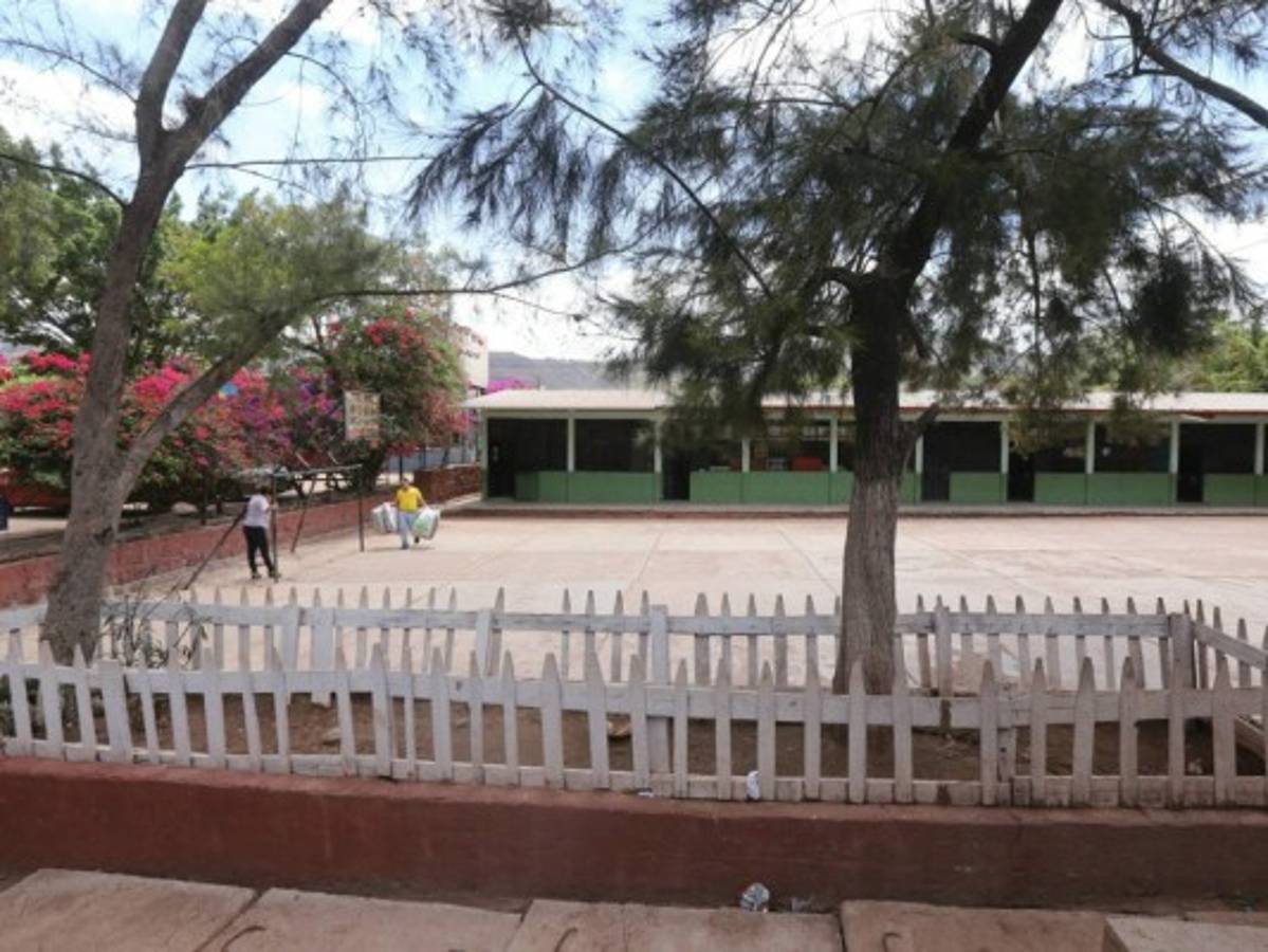 Estudiantes a favor de proteger el ambiente