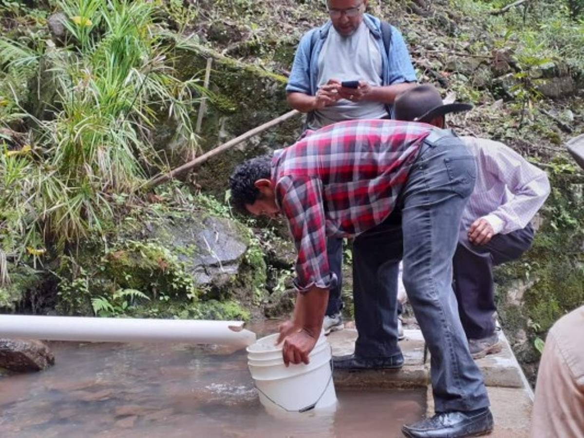 Se reforestan 17 cuencas en el DC y municipios aledaños