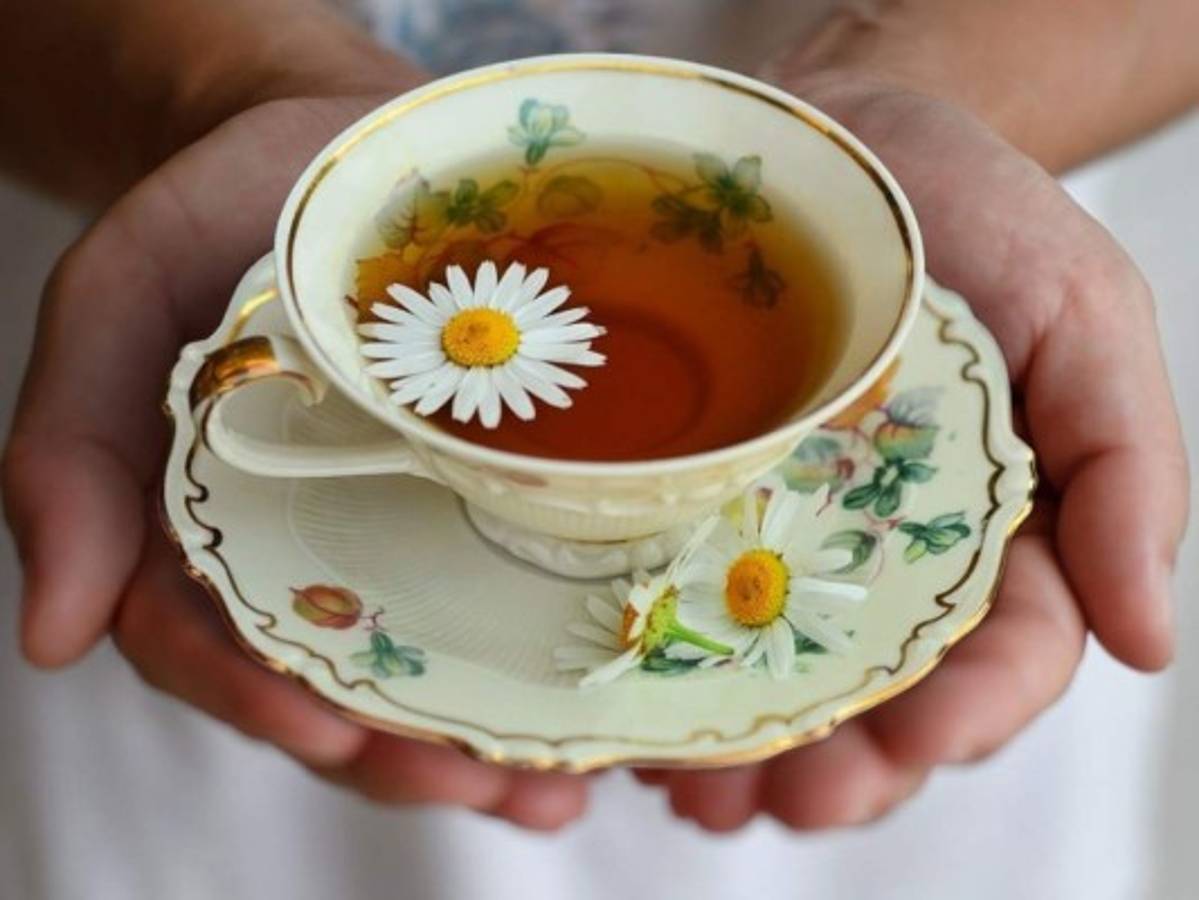 ¿Cuáles son los beneficios del té de manzanilla para el hígado?