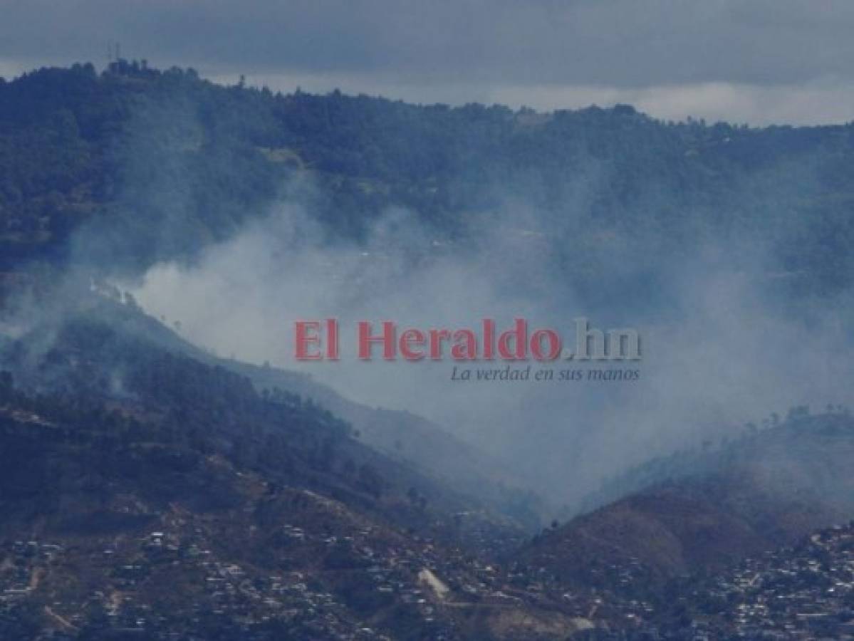 Voraz incendio en Santa Lucía se reactiva tras fuertes vientos