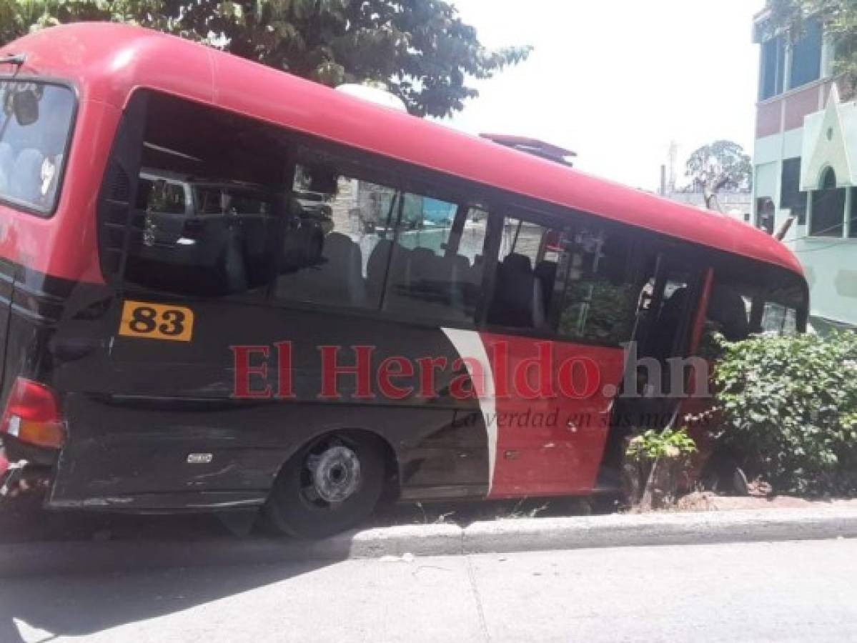 El bus rapidito terminó varado entre un muro y el tronco de un árbol. A escasos metros está una vivienda. Foto Estalin Irías