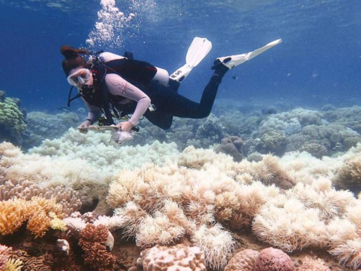 Cambio climático, turismo y ciencia se enfrentan por la Gran Barrera de Coral