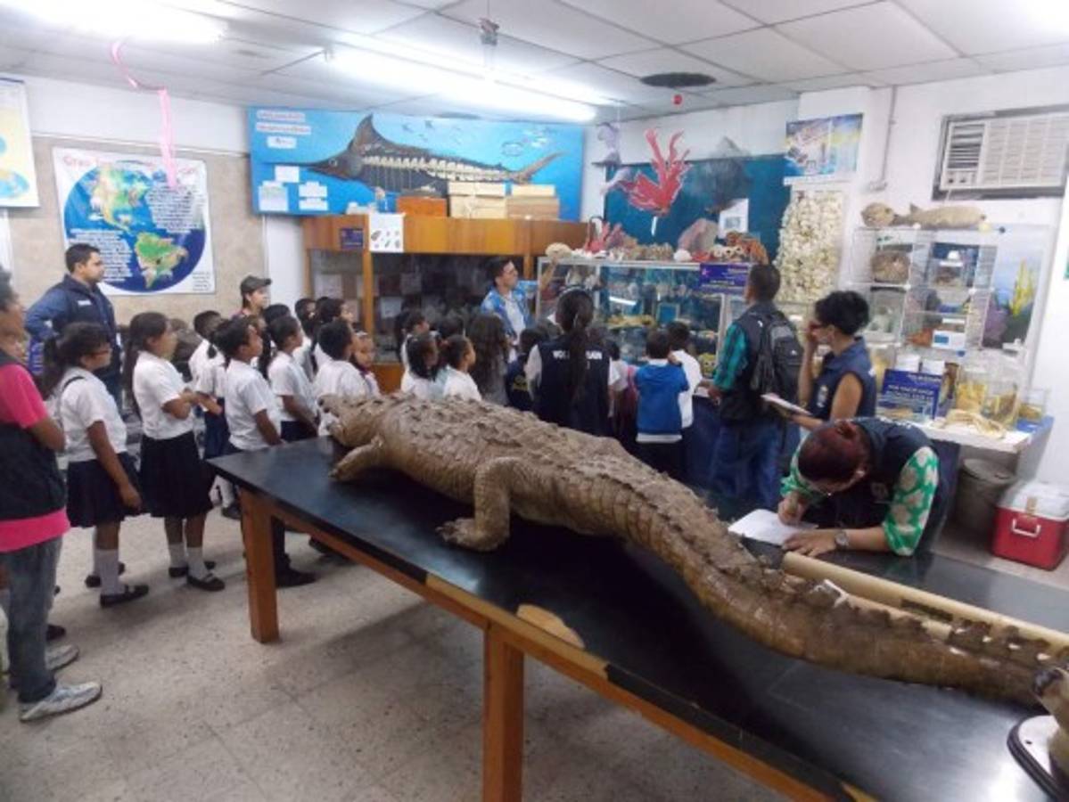 Entretenidos domingos familiares se viven en ciudad universitaria