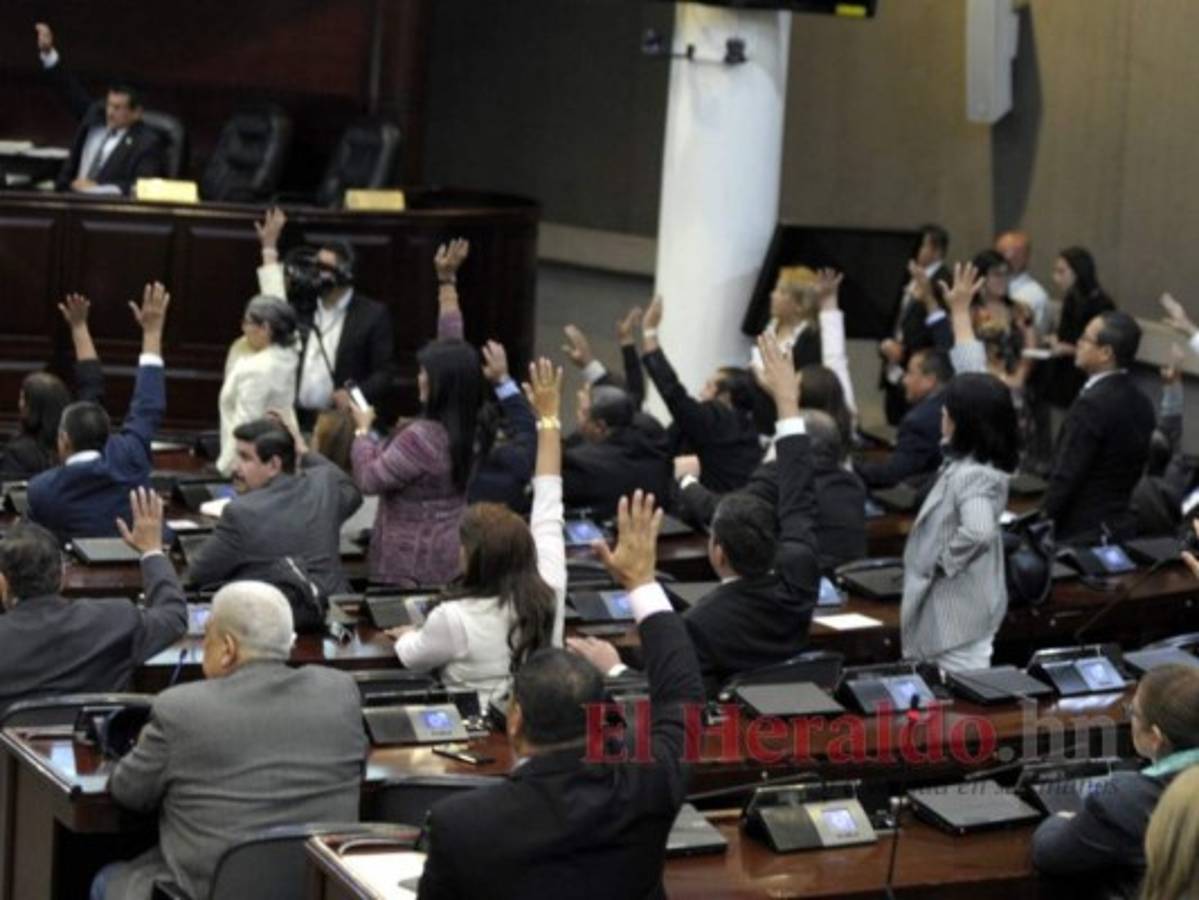 Intensos cabildeos buscan consensos para el Consejo Nacional Electoral y el Tribunal de Justicia Electoral