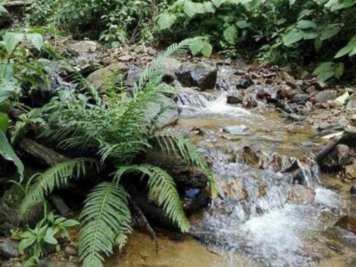 El agua es fría, pero uno no se puede resistir a tocarla. Fotos: Grendy Maradiaga Santos