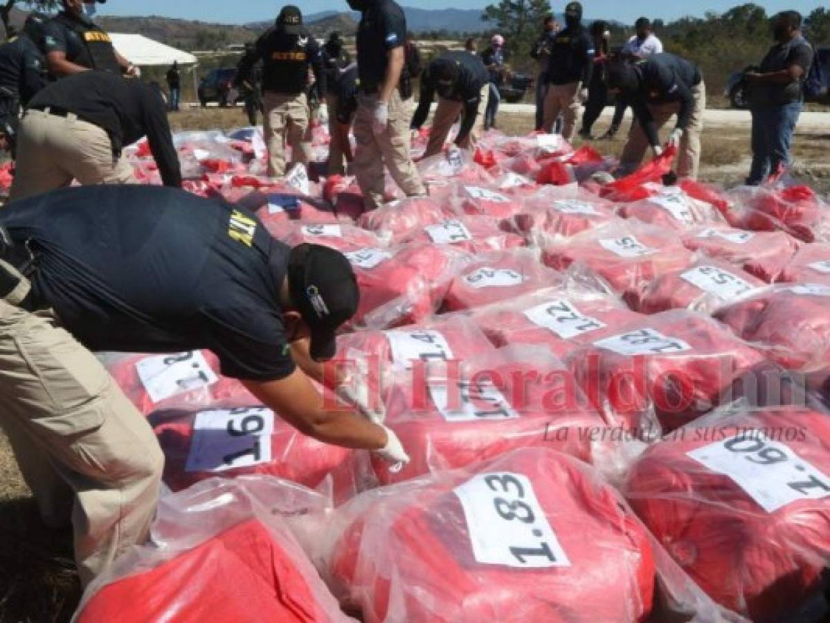 Un total de 3,697 paquetes de marihuana fueron eliminados. Foto: Alex Pérez/ EL HERALDO