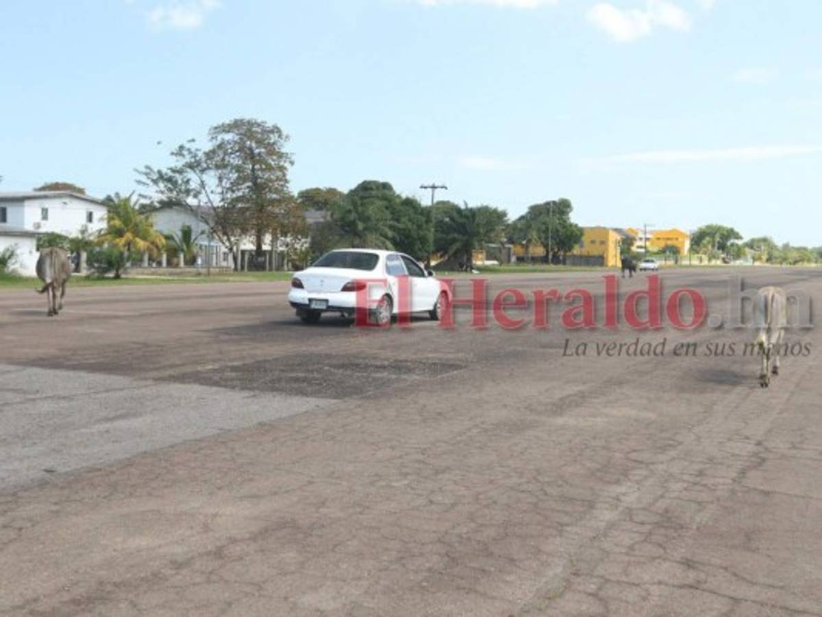 El de Trujillo está en completo olvido por las autoridades.