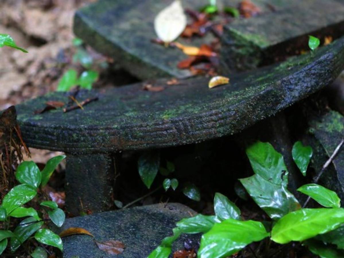 Los vestigios de una civilización en Ciudad Blanca.