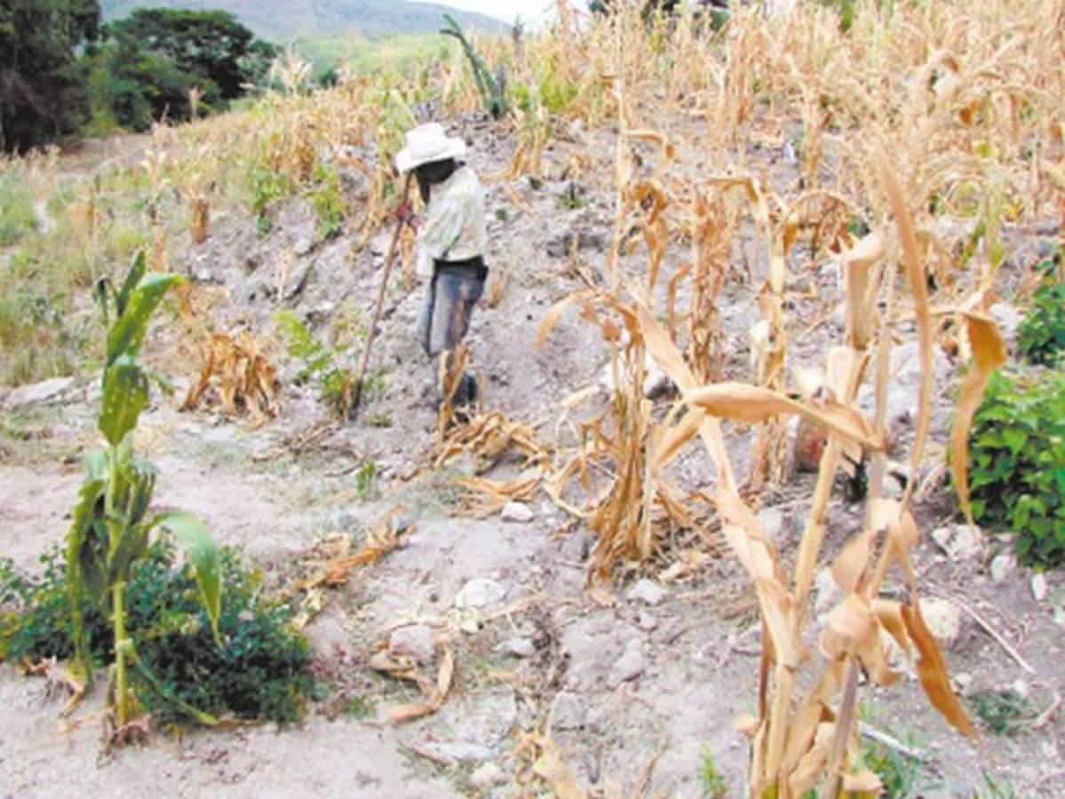 Alimentos tardan en llegar a la zona sur de Honduras