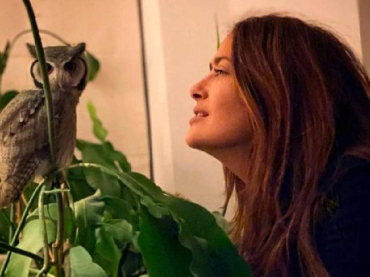 Salma Hayek revela que su búho vomitó en la cabeza de Harry Styles  