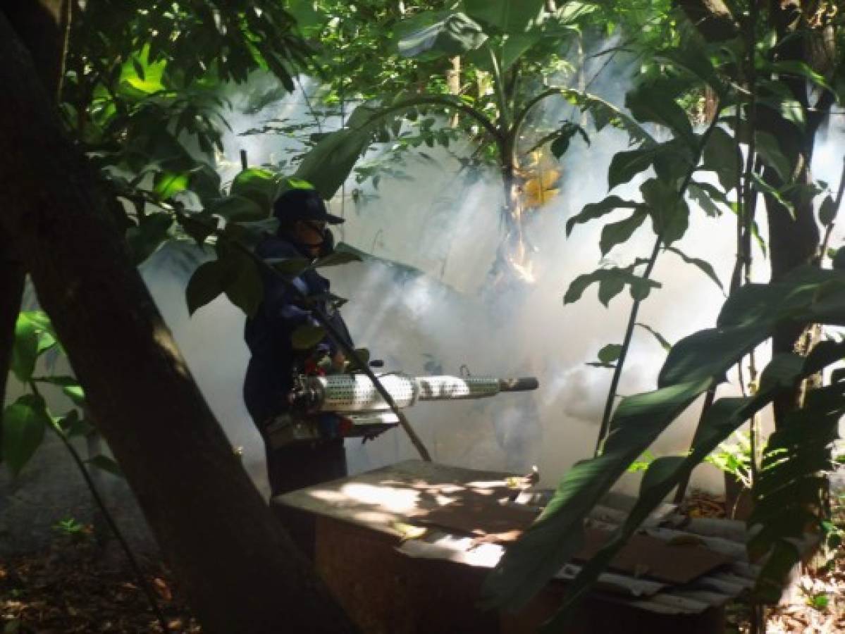 En alerta por dengue ocho colonias de Tegucigalpa