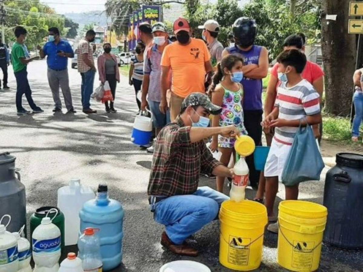 Honduras: Negocian el precio de la leche para el resto del año  