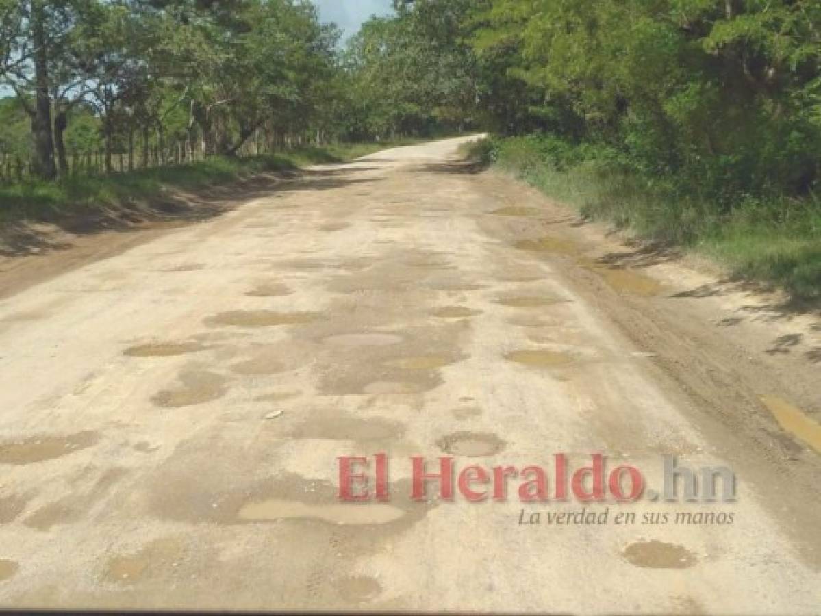 Sector transporte prepara protesta por estado de carretera El Paraíso-Olancho