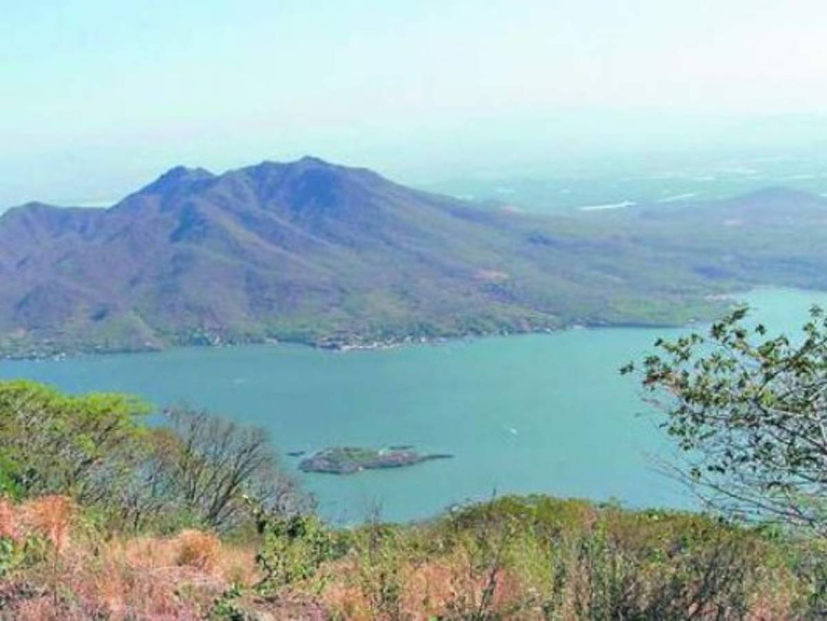 Destinarán $4.9 millones para beneficiar a productores de cacao