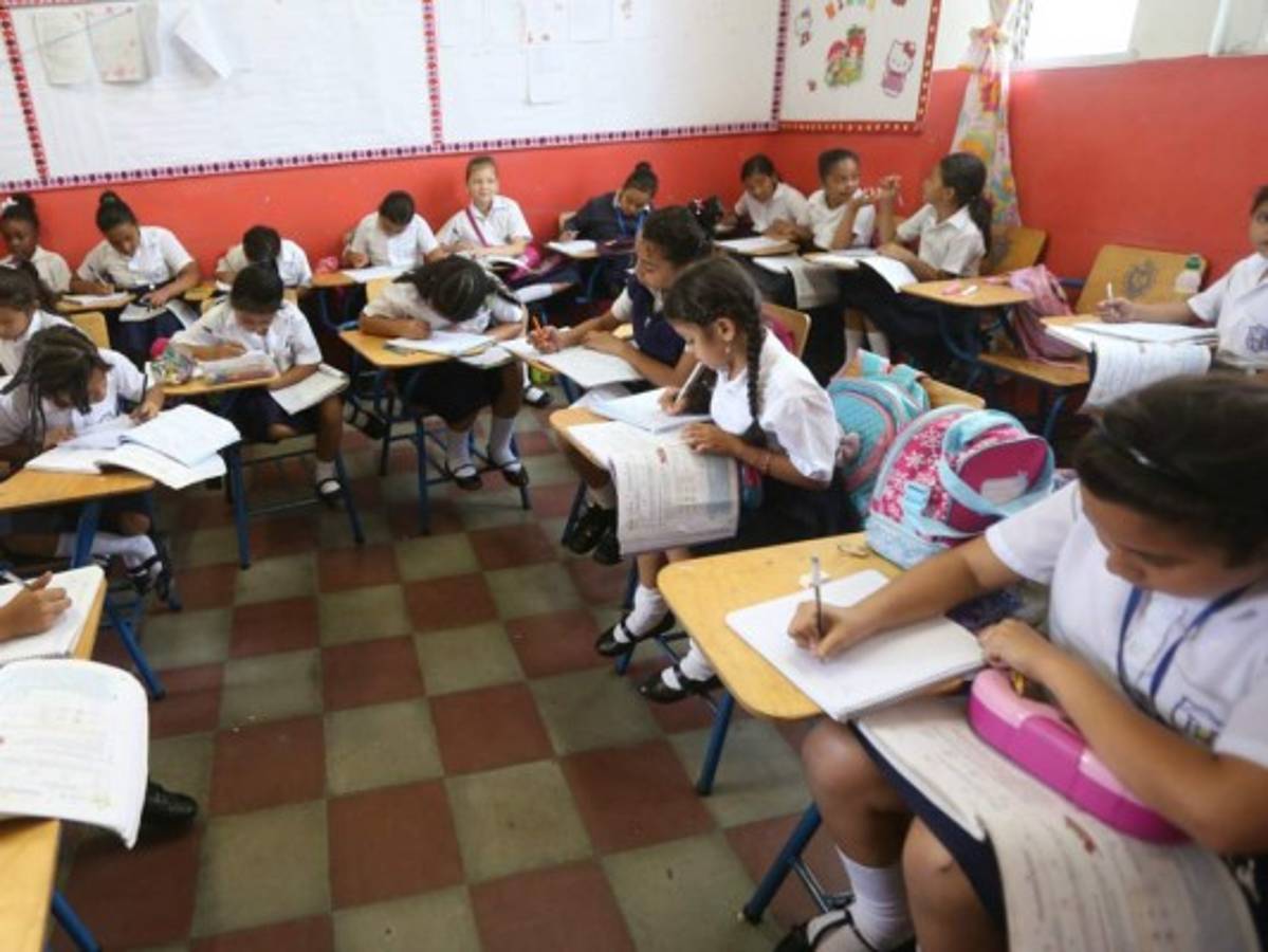 Alumnas del CEB República de Argentina buscan conquistar el primer lugar en Escuelas Amigables con el Ambiente