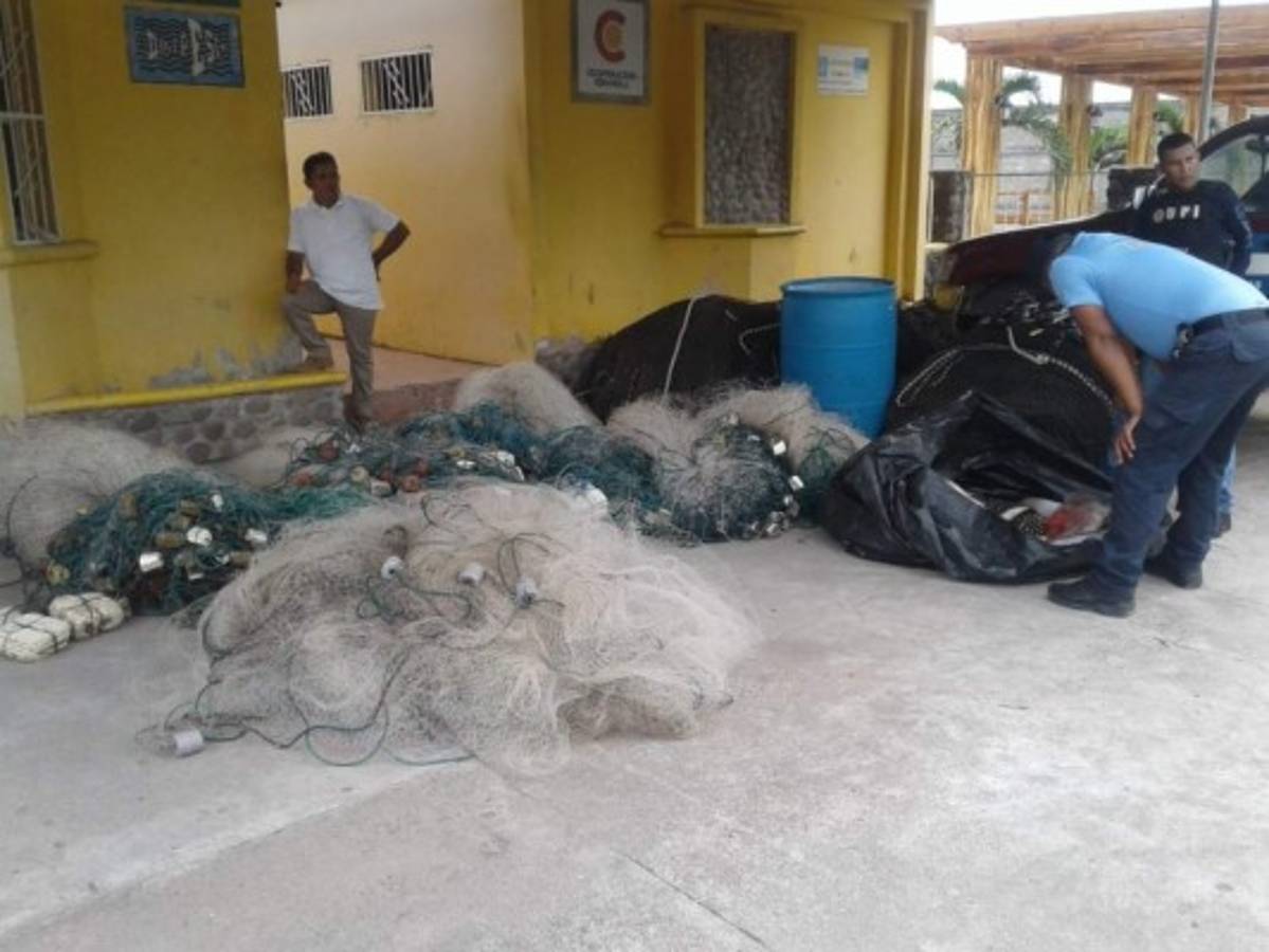 Más de 350 detenidos y secuestro de documentos deja la operación Dragón IX