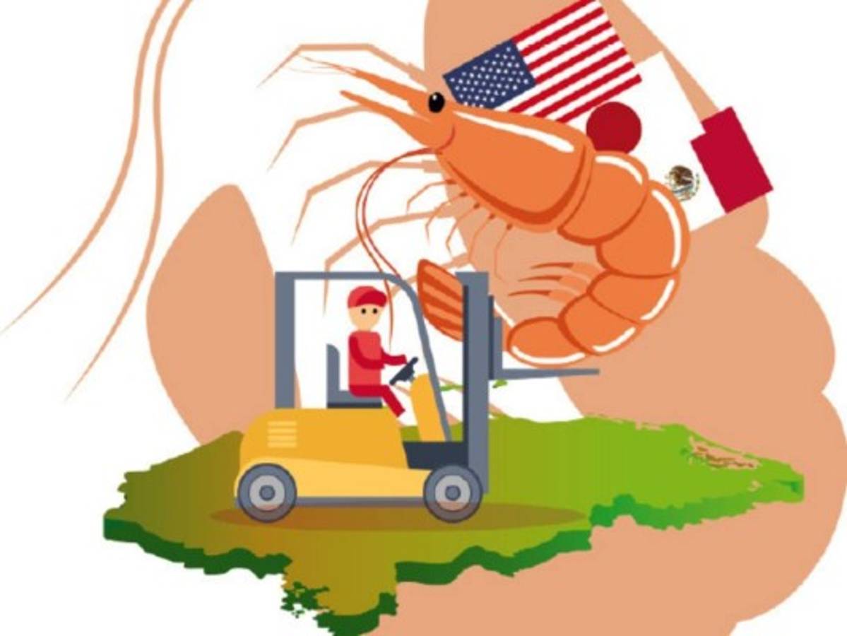 ¿Qué países importan el camarón hondureño?