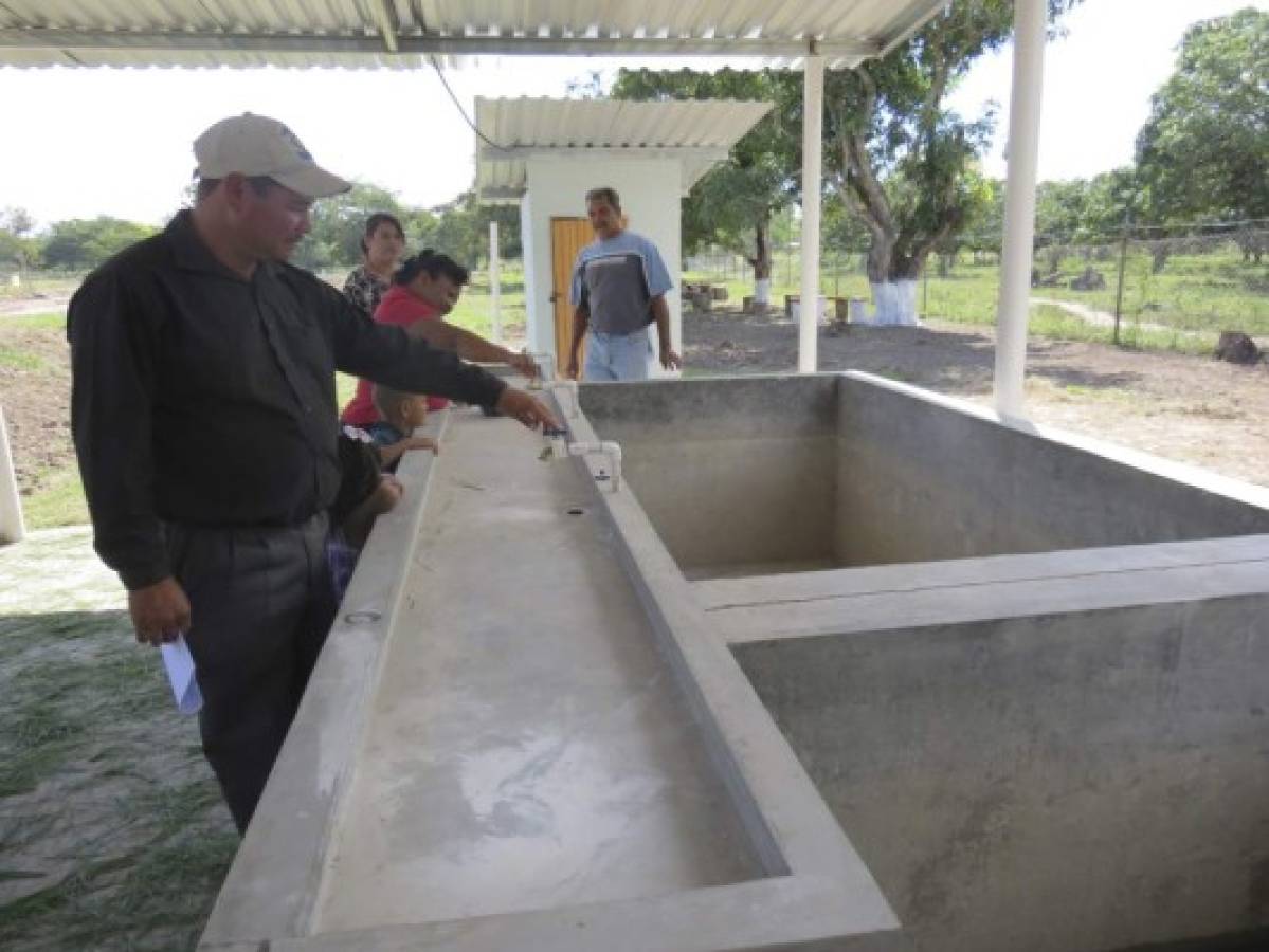 Honduras: Cultivo de tilapia sostiene familias en situación de pobreza