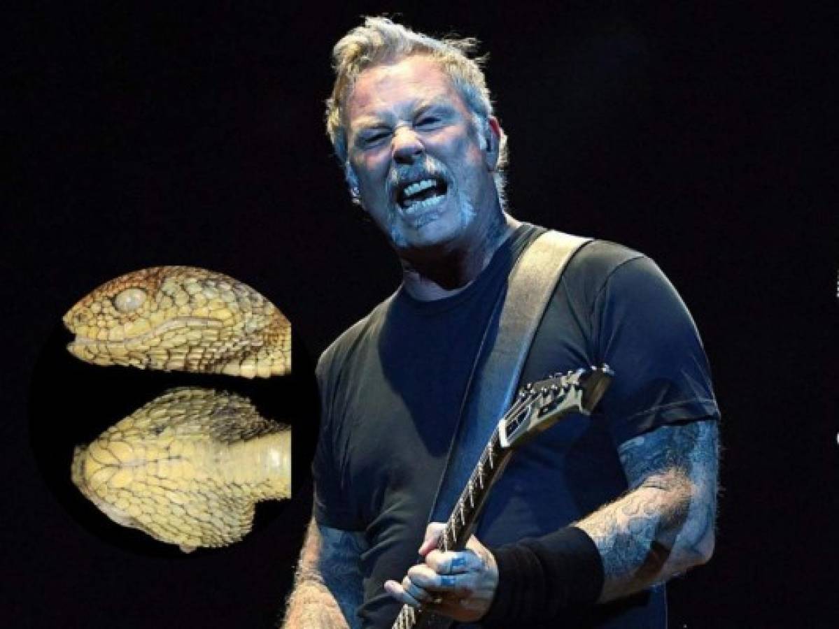 Nueva especie de serpiente venenosa recibe el nombre del vocalista de Metallica