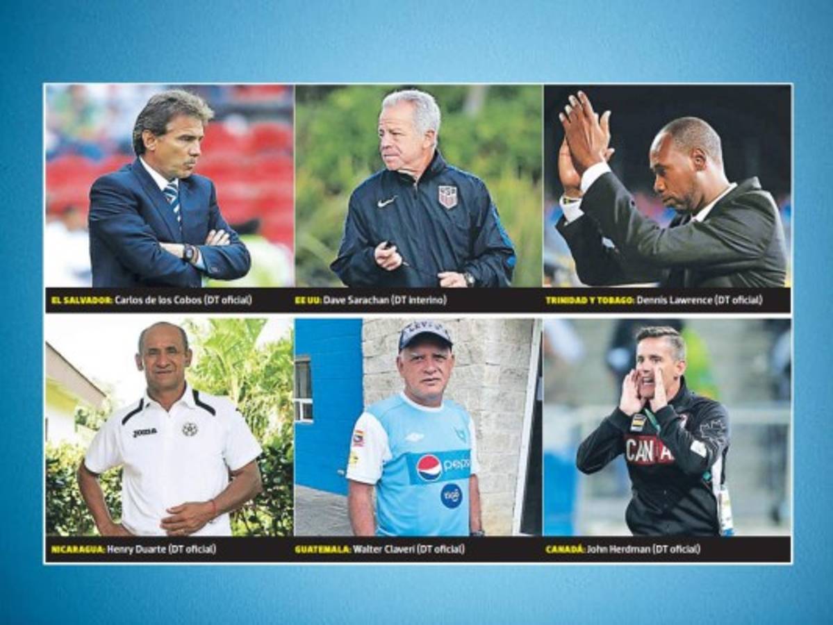 ¿Qué selecciones tienen técnico oficial, interino y cuántas plazas vacantes hay?