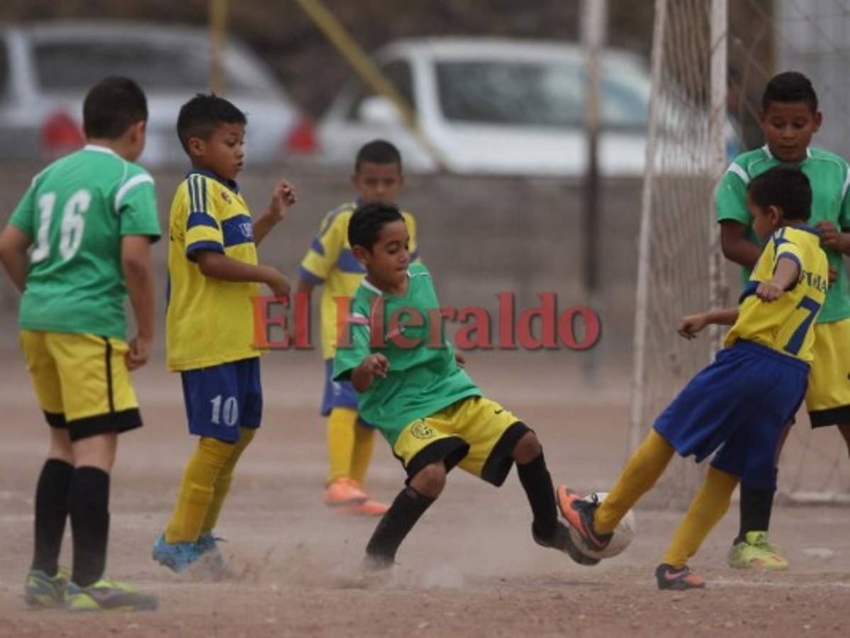 En el 2019, un mini complejo para ellos