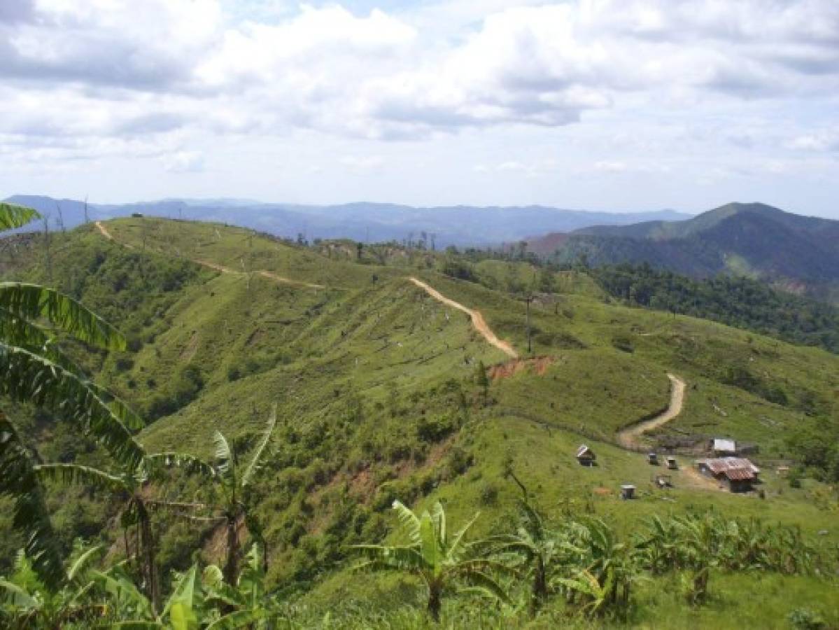 Olancho con nueva zona protegida