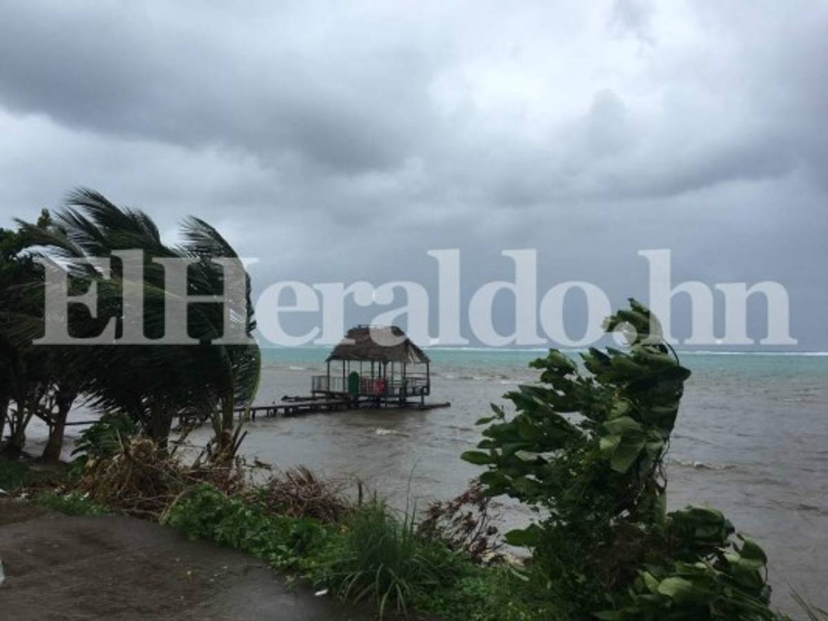 Honduras: Instituciones de prevención y emergencias se preparan ante temporada ciclónica