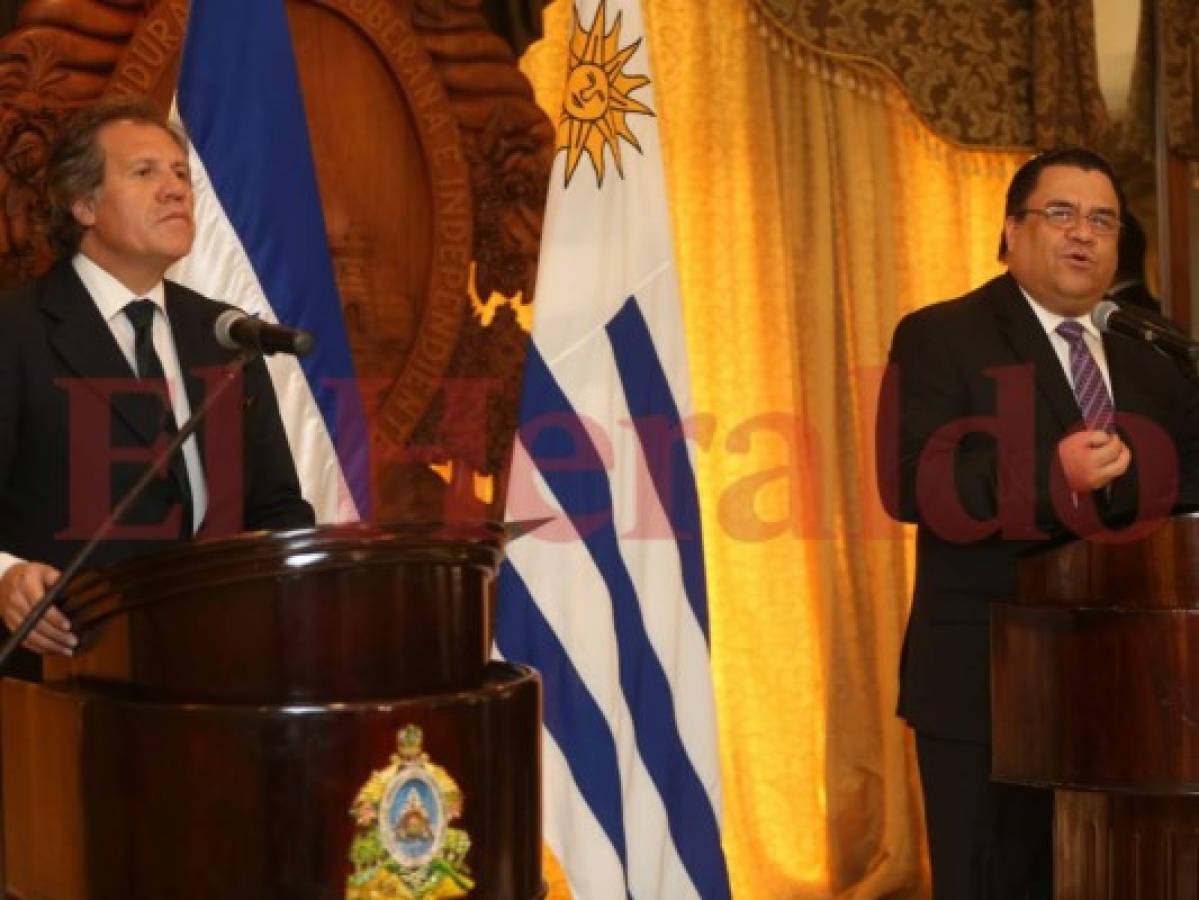Arturo Corrales: OEA debe nombrar comisión que investigue el actuar irregular de Luis Almagro