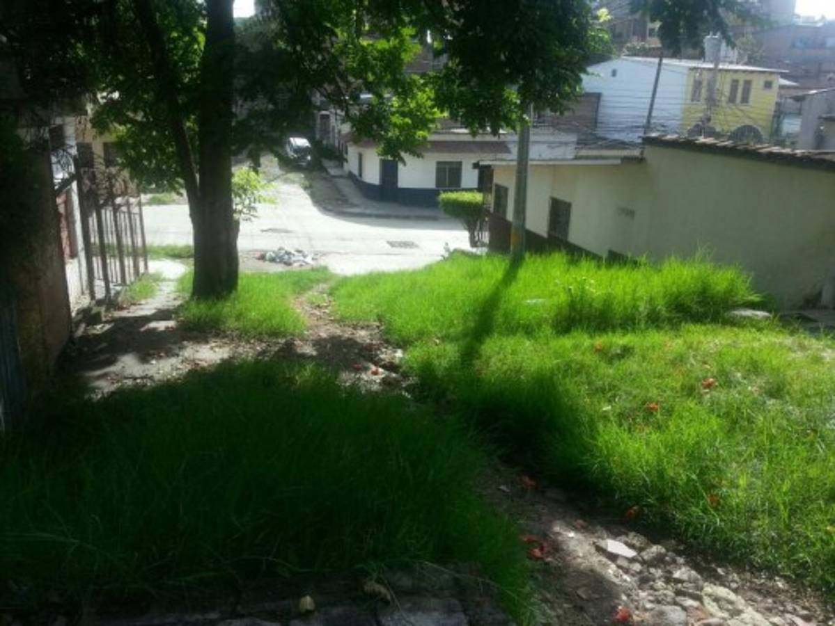 Sitiada Tegucigalpa por predios atestados de maleza