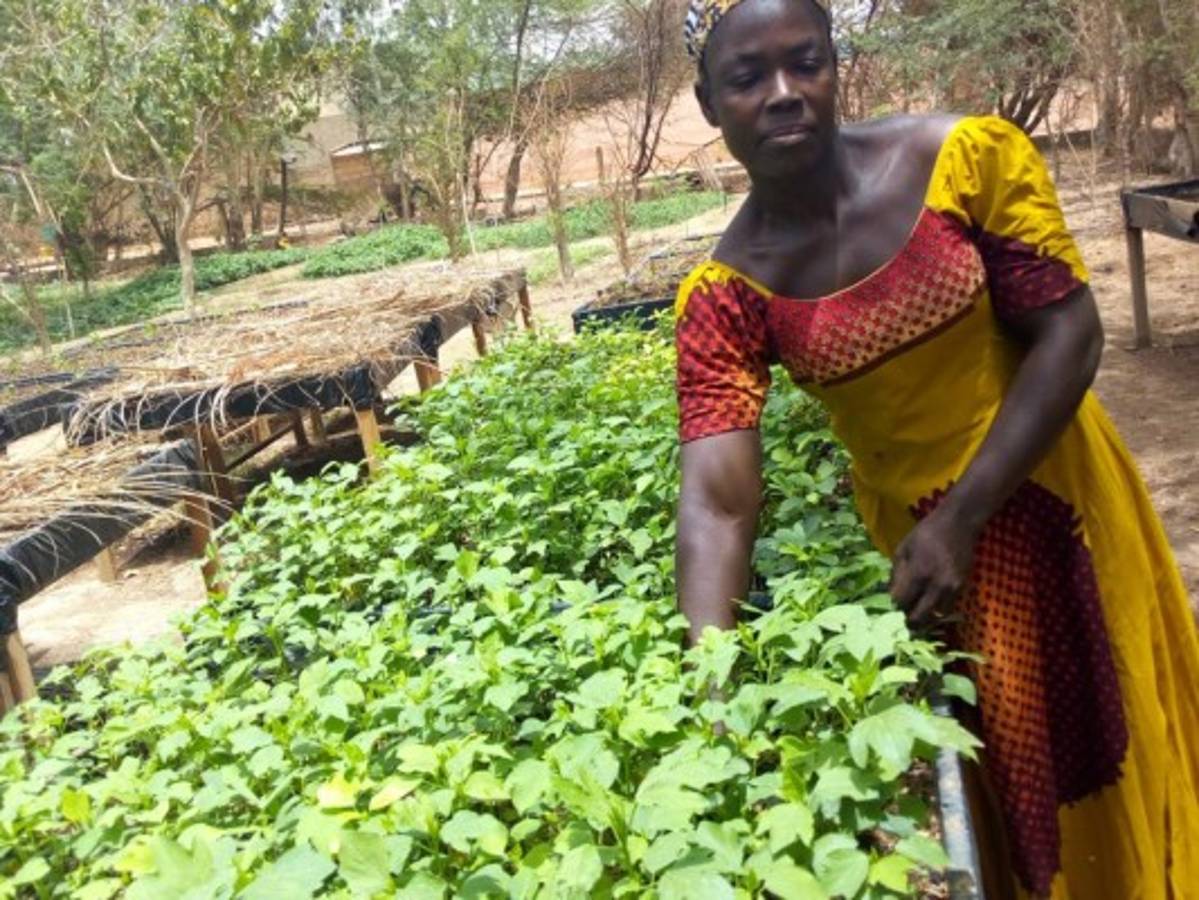 Du bio pour l’indépendance économique des femmes