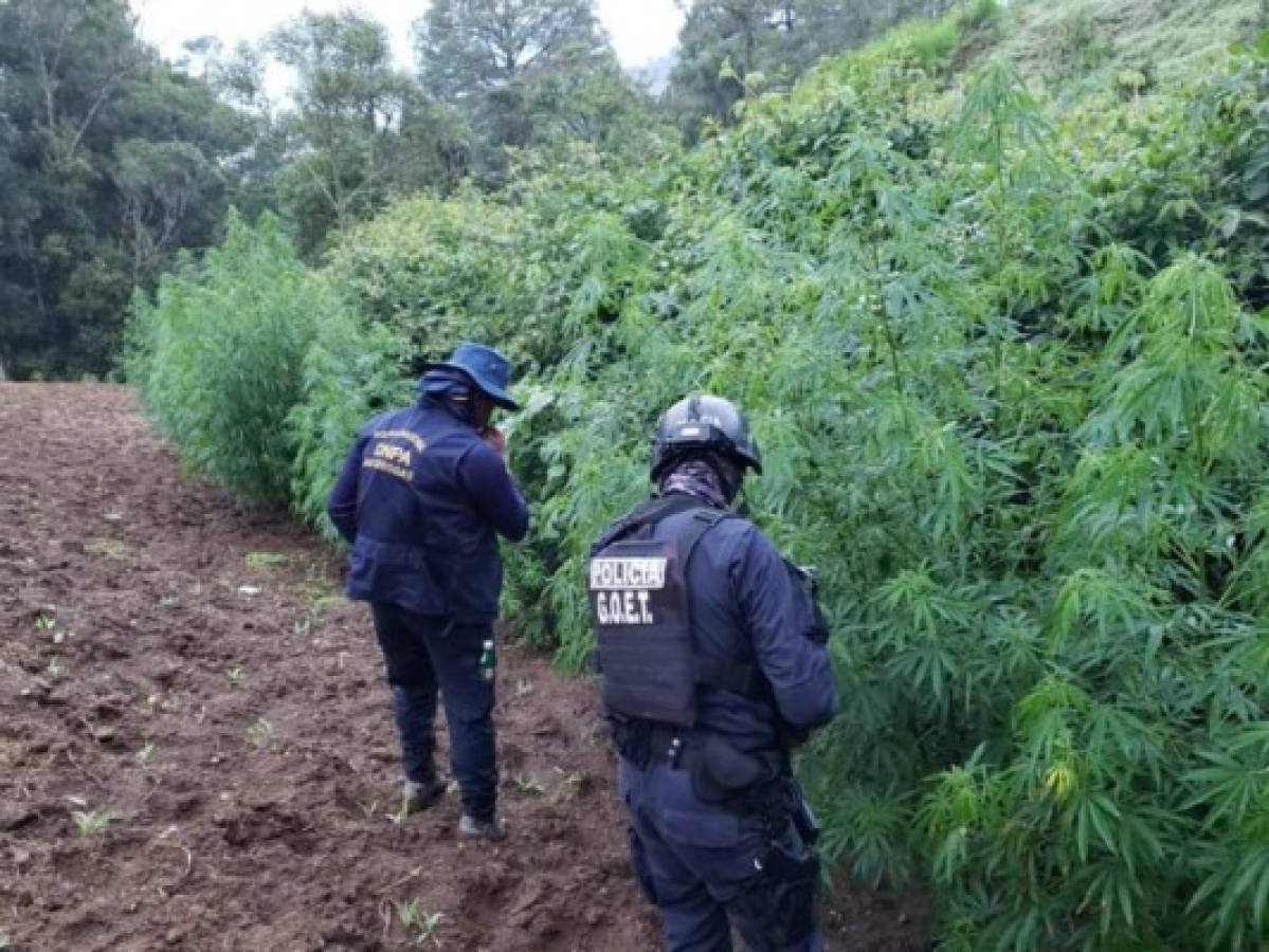 El hallazgo se llevó a cabo a eso de las 6:00 de la mañana en la aldea Malguara.