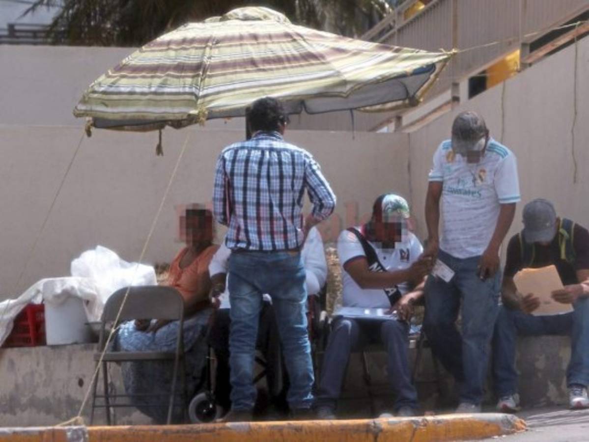 Anuncian sanción a empleados del Instituto de la Propiedad que trafiquen placas