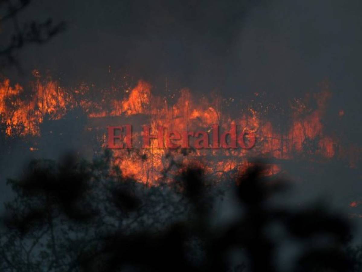 No cesa incendio en El Hatillo; llamas ya consumieron unas 180 hectáreas