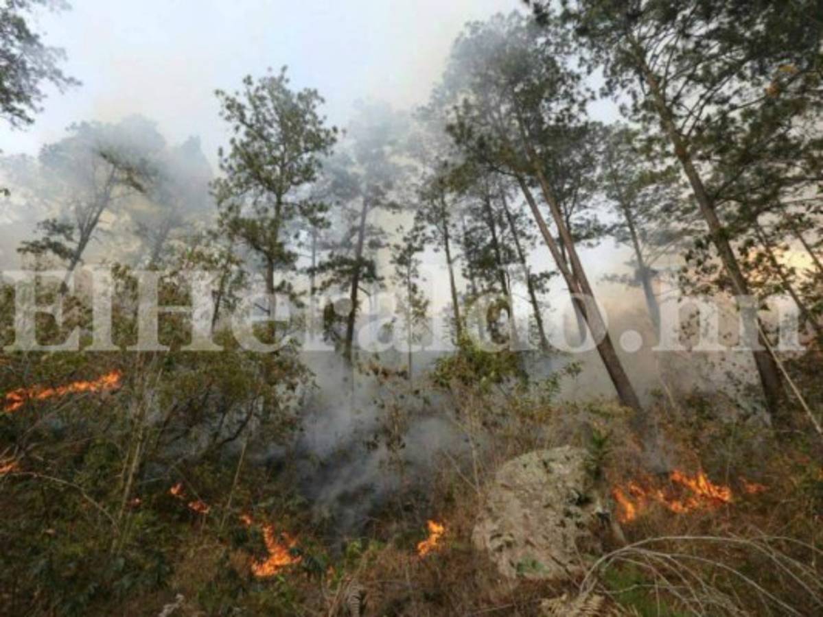 Día de la Tierra: Honduras es el país que más sufre los efectos del cambio climático