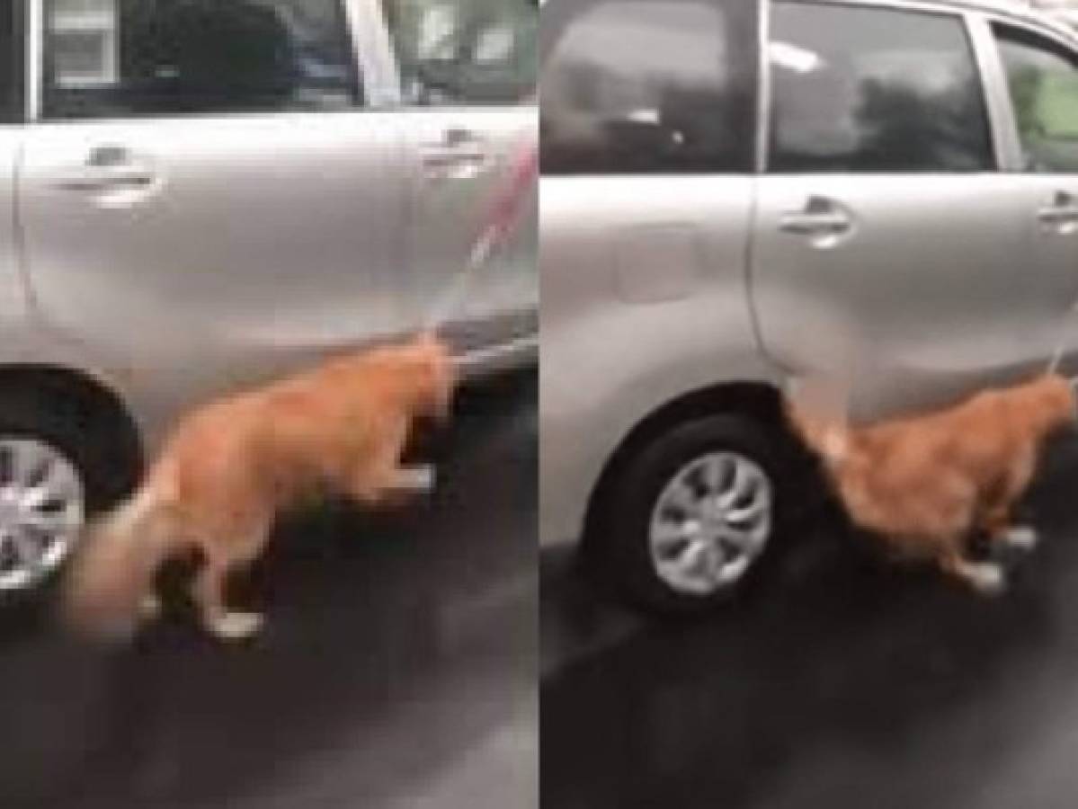 Viral: Dueño amarra a su perro al vehículo y lo arrastra en la carretera