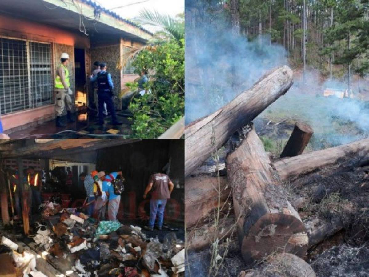 Incendios en Honduras han dejado muertes, pérdidas materiales y bosques quemados