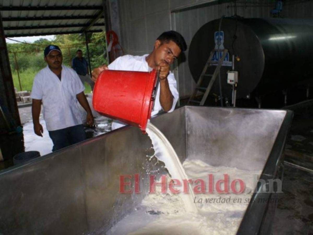 El litro de leche procesada sube entre uno a dos lempiras