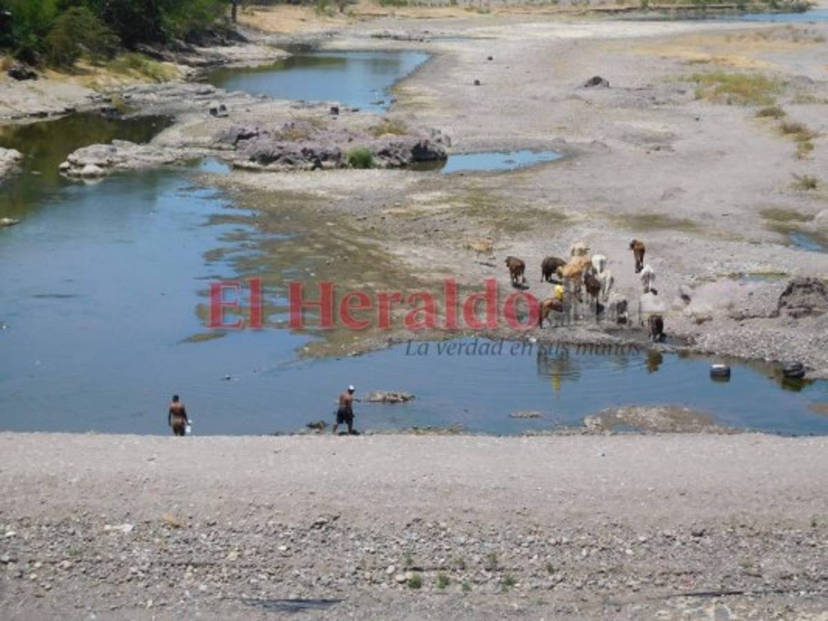 Además del coronavirus, Choluteca enfrenta otra emergencia por sequía
