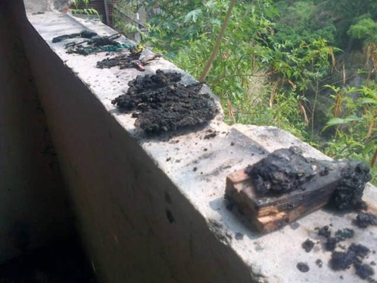 Hallan restos humanos en 'casa loca' en colonia 14 de Marzo