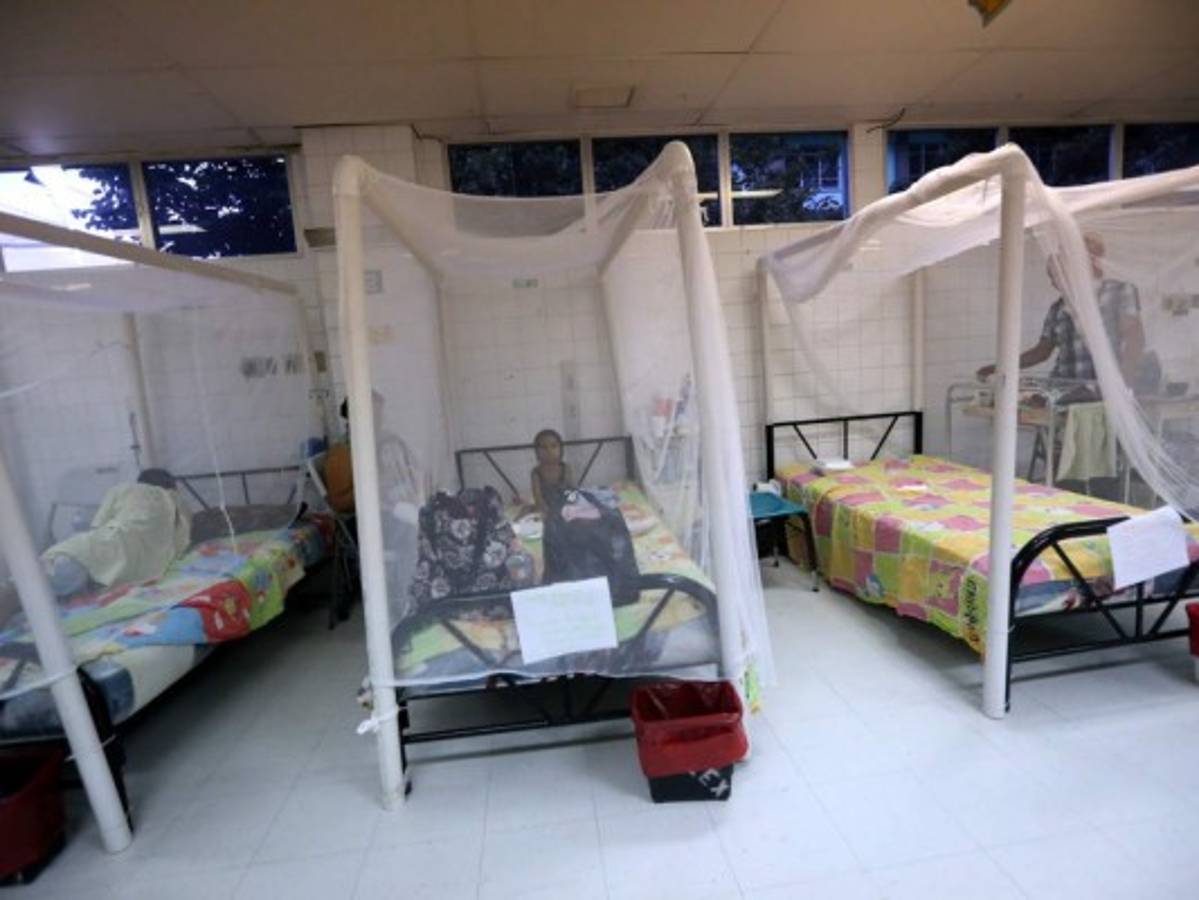 Abril y mayo, meses más mortales por dengue grave en Honduras